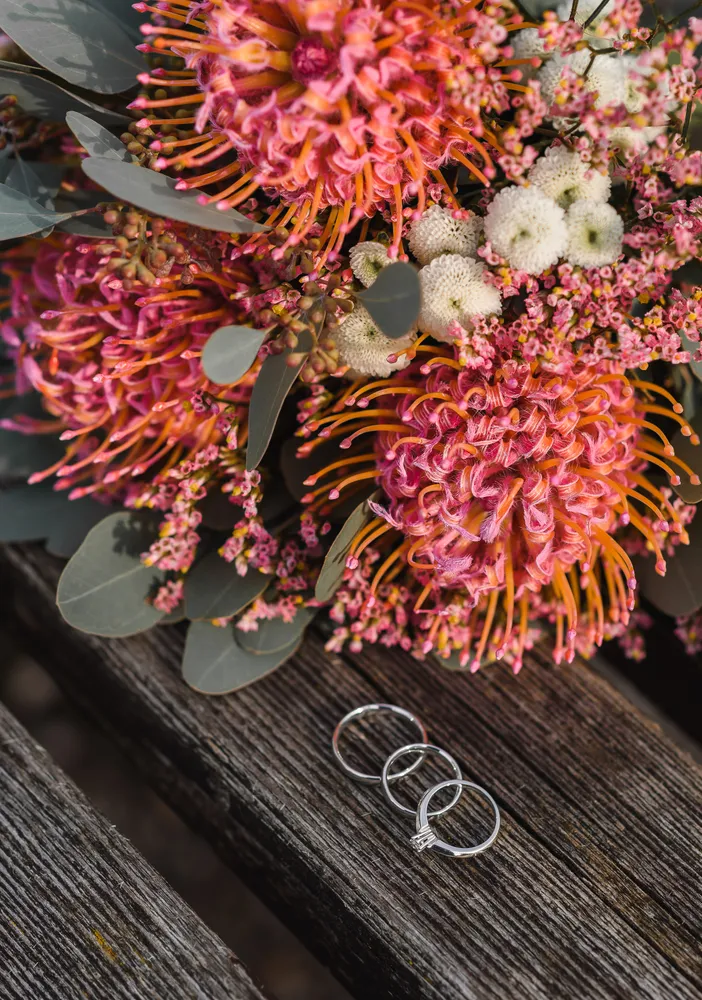 Silver wedding rings on rustic wood, beside vibrant pink and orange proteas with eucalyptus leaves.