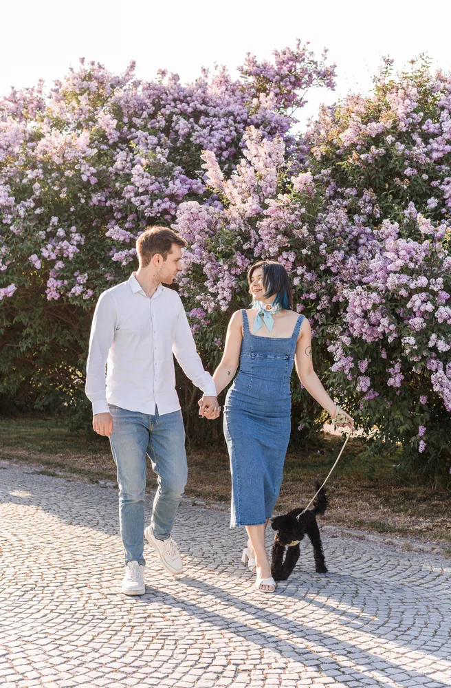 A man and woman walk hand-in-hand on a cobblestone path, surrounded by blooming lilac bushes. She holds a leash attached to a small black dog. Both are dressed casually, with the woman wearing a denim dress and the man in a white shirt and jeans. The scene captures a serene moment of companionship and leisure.