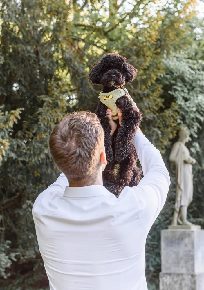 Man in white shirt lifts black poodle wearing yellow bowtie in park with statue and greenery in background.